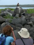 Galapagos (Mar 2009) - Day 06 - 426
